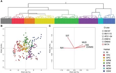 Planktonic habitats in the Amazon Plume region of the Western Tropical North Atlantic